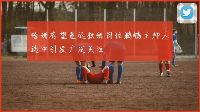 哈姆有望重返教练岗位鹈鹕主帅人选中引发广泛关注